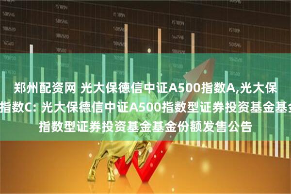 郑州配资网 光大保德信中证A500指数A,光大保德信中证A500指数C: 光大保德信中证A500指数型证券投资基金基金份额发售公告