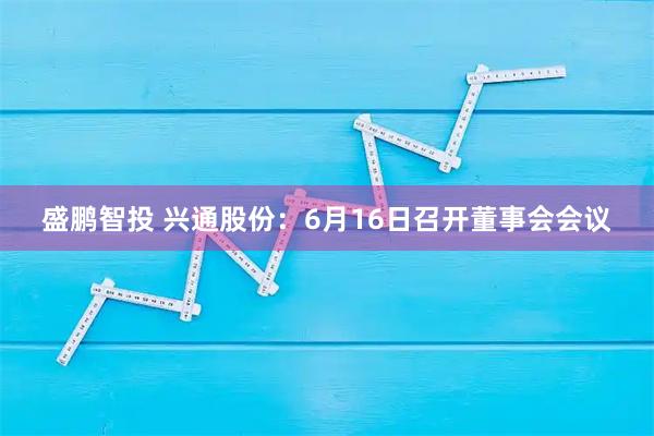 盛鹏智投 兴通股份：6月16日召开董事会会议