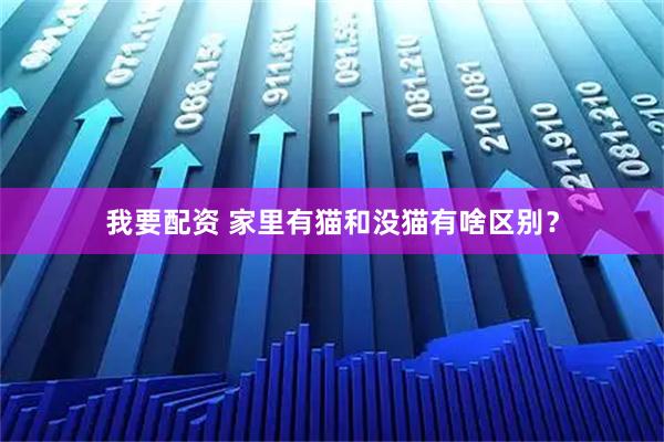 我要配资 家里有猫和没猫有啥区别？