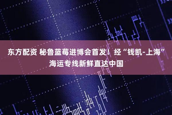 东方配资 秘鲁蓝莓进博会首发!经“钱凯-上海”海运专线新鲜直达中国