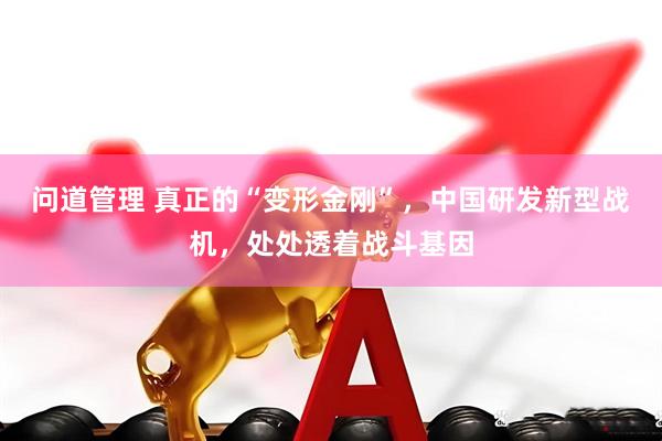 问道管理 真正的“变形金刚”,中国研发新型战机,处处透着战斗基因