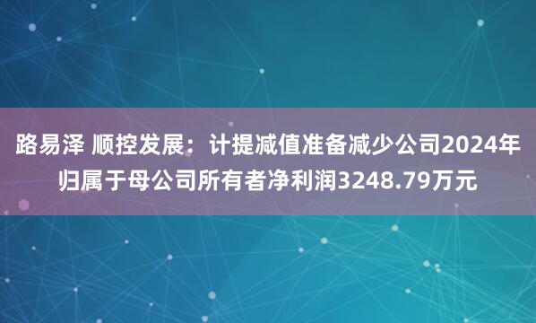 路易泽 顺控发展：计提减值准备减少公司2024年归属于母公司所有者净利润3248.79万元