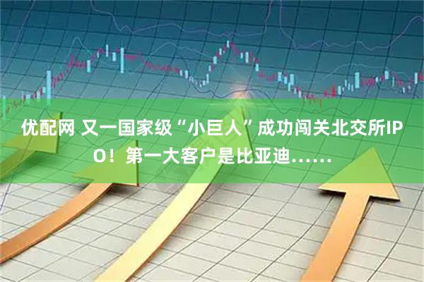 优配网 又一国家级“小巨人”成功闯关北交所IPO！第一大客户是比亚迪……