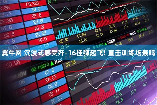 翼牛网 沉浸式感受歼-16挂弹起飞! 直击训练场轰鸣
